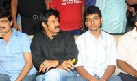 Srimannarayana Audio Function photos